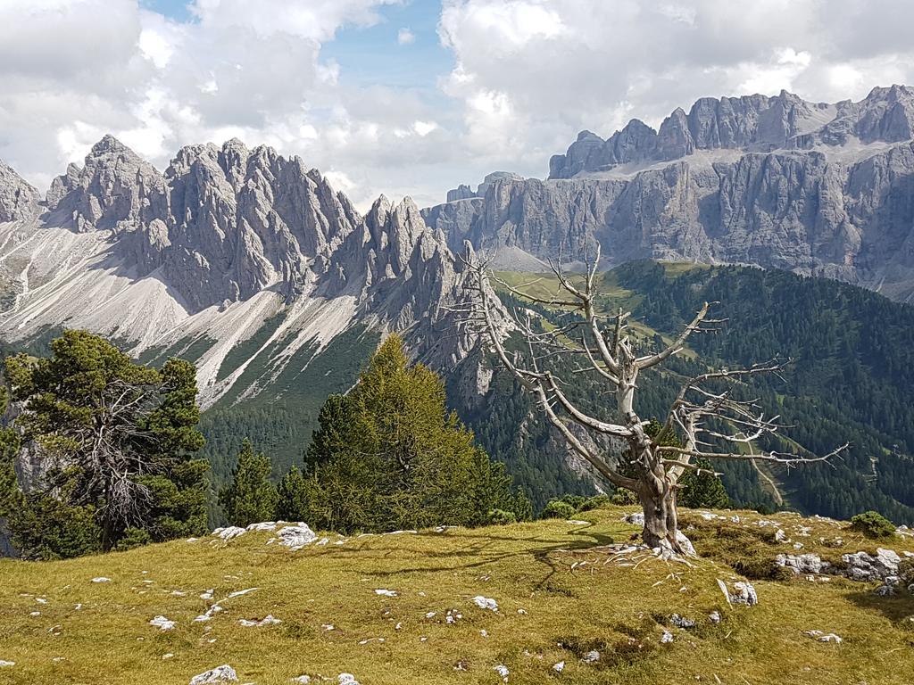 Villa Otto Santa Cristina Val Gardena Экстерьер фото